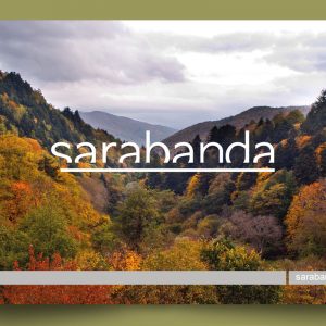 Верстка брошюры Sarabanda